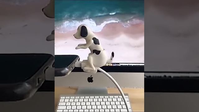 Зарядный USB кабель похотливая собачка (iShopDay.com) смотреть онлайн