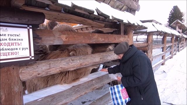 2ч. ПОЛНЫЙ ОБЗОР Кантри Резорт Вербилки (Country Resort )+ День Рождения! смотреть онлайн