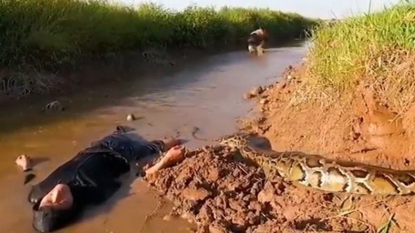 Охотники за анакондами (часть 1-я)