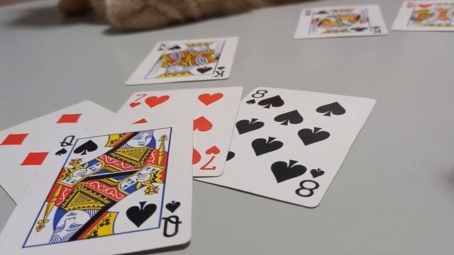 ПОЯВИТСЯ ЛИ ЧЕЛОВЕК. ГАДАНИЕ НА 4 КОРОЛЯ WHETHER THE PERSON WILL APPEAR. DIVINATION FOR 4 KINGS смотреть онлайн