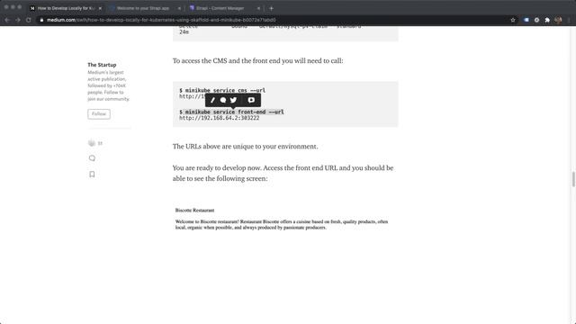 How to setup a Local Development Environment with Skaffold, Kustomize and Minikube смотреть онлайн