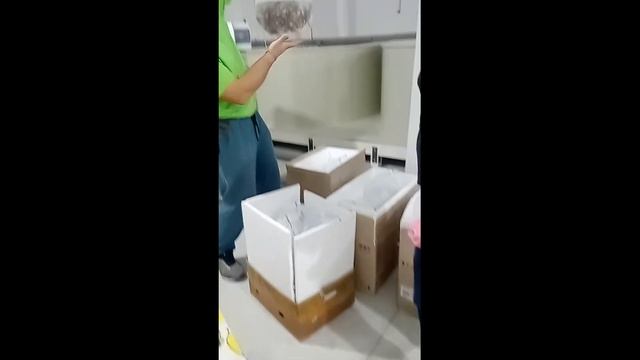Приём малька клариевого(африканского) сома смотреть онлайн