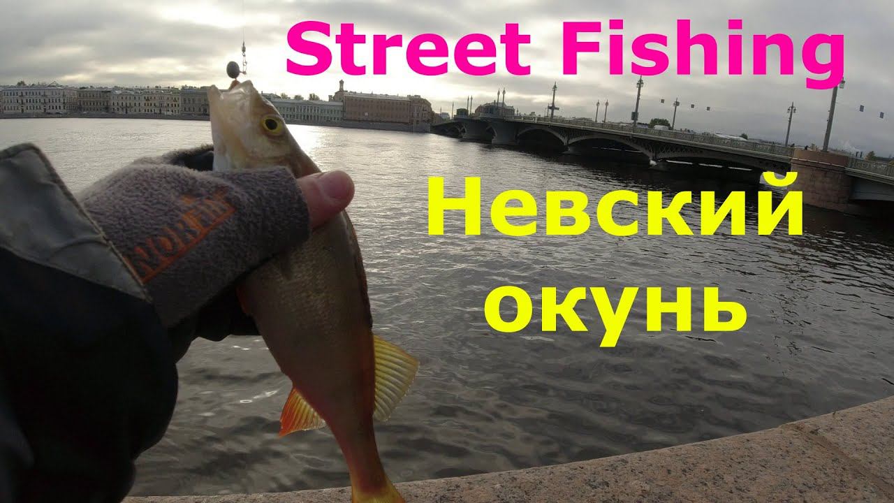#457 #StreetFishing | Невский окунь | смотреть онлайн