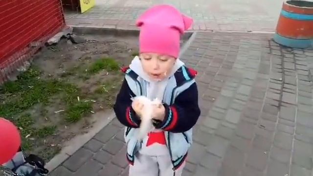 Аттракционы колесо обозрения цирк смотреть онлайн