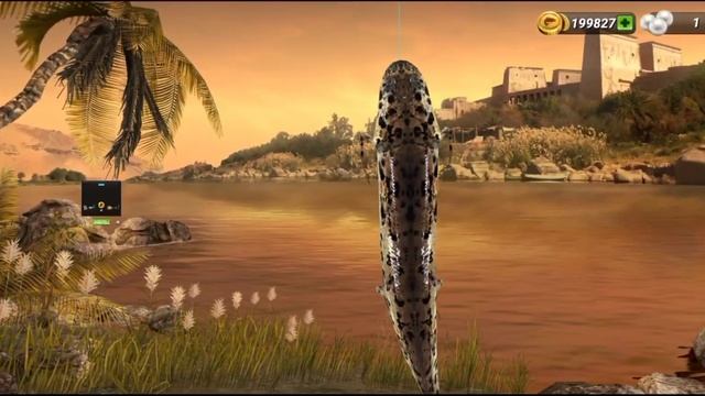 Мифическое Испытание Река Нил!!!fishing Clash серия побед смотреть онлайн