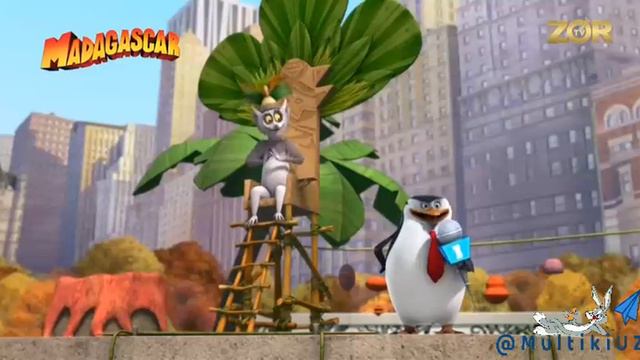 Madagaskar Multfilm. Uz Tarjima   |Мадагаскар Мултфилм