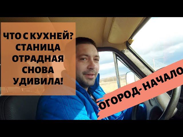 ДЕЛА ОГОРОДНЫЕ | СТАНИЦА ОТРАДНАЯ | ПЛАНТАЦИЯ ЧЕРЕМШИ #переездвдеревню #купилдомвдеревне #черемша