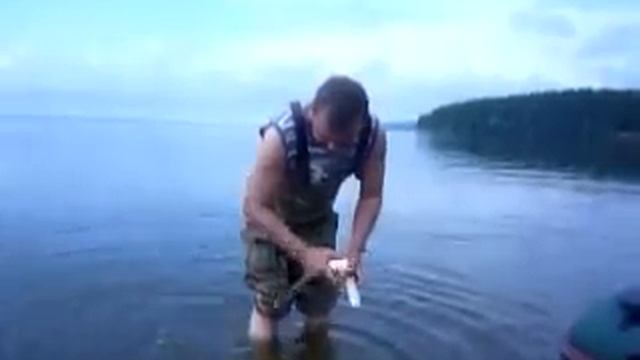 Тест и звук квока смотреть онлайн