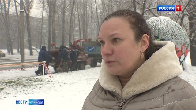 Акция по утилизации новогодних ёлок продлится в Абакане до 31 января смотреть онлайн