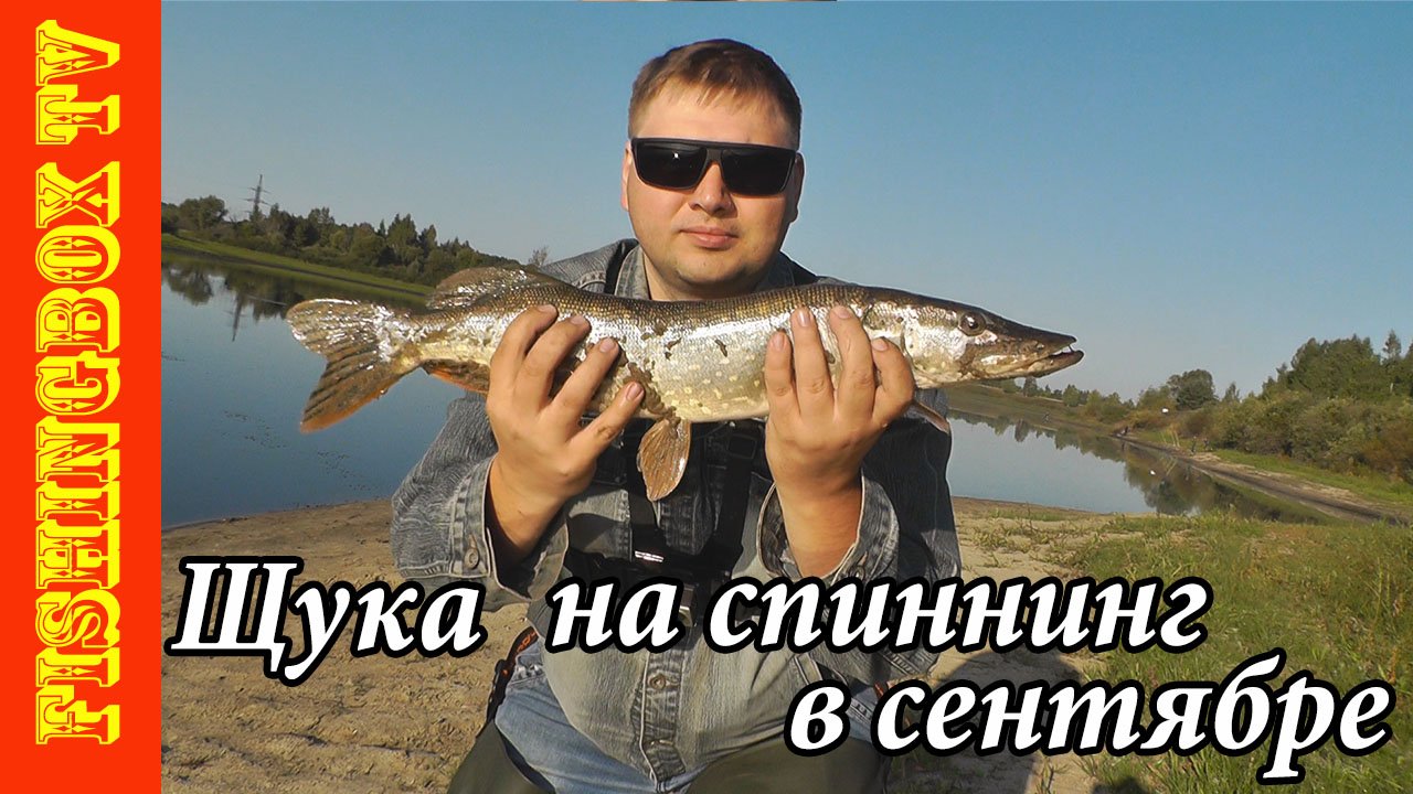 Ловля щуки на спиннинг в сентябре с берега смотреть онлайн
