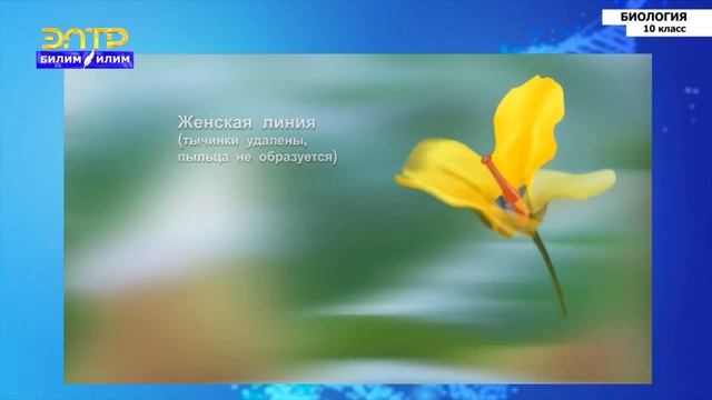 Основы селекции Методы селекции растений и животных смотреть онлайн