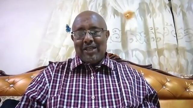 ዜና смотреть онлайн
