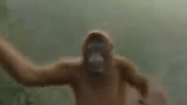 Лучше всех психологов смотреть онлайн