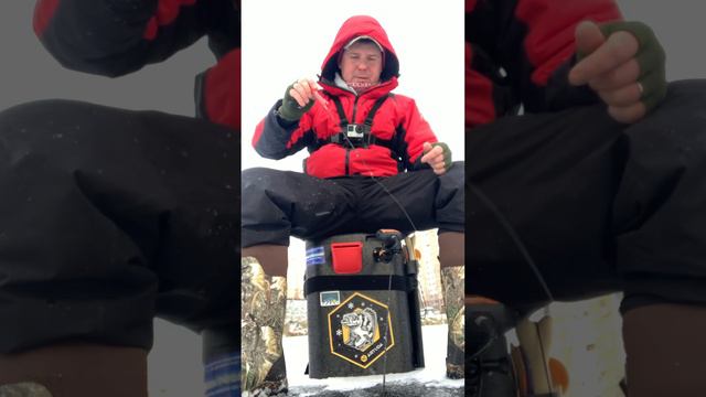 Первый лед 2023/2024. Ловля окуня на блесну со льда! смотреть онлайн