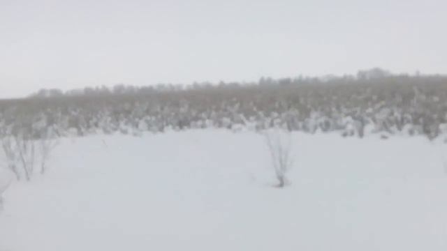 дорога, снег, кукуруза или подсолнухи, уже, так положено, или привычная картинка смотреть онлайн