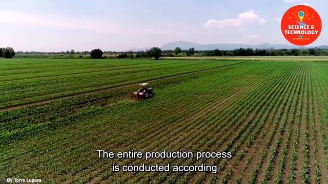 WONDERFUL ITALIAN WATER BUFFALO FARMING-AMAZING BUFFALO DAIRY FARM-MODERN TECHNOLOGY LIVESTOCK FARM