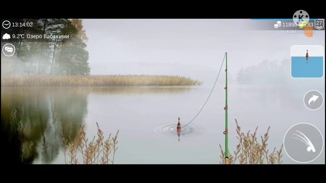 Гайд на рыбу каплю в My Fishing World
