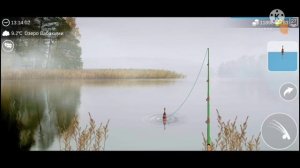 Гайд на рыбу каплю в my fishing world