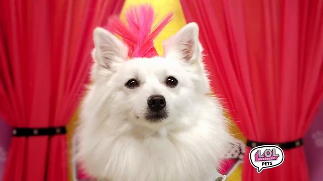 LOL Surprise! Series 3 Pets 30 Commercial смотреть онлайн