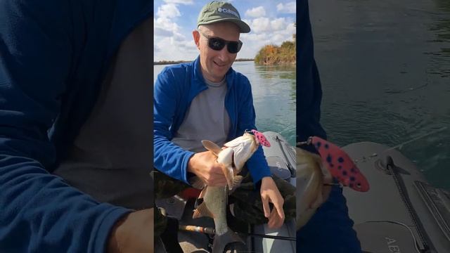 ЖЕРЕХ осенью на реке Или. смотреть онлайн