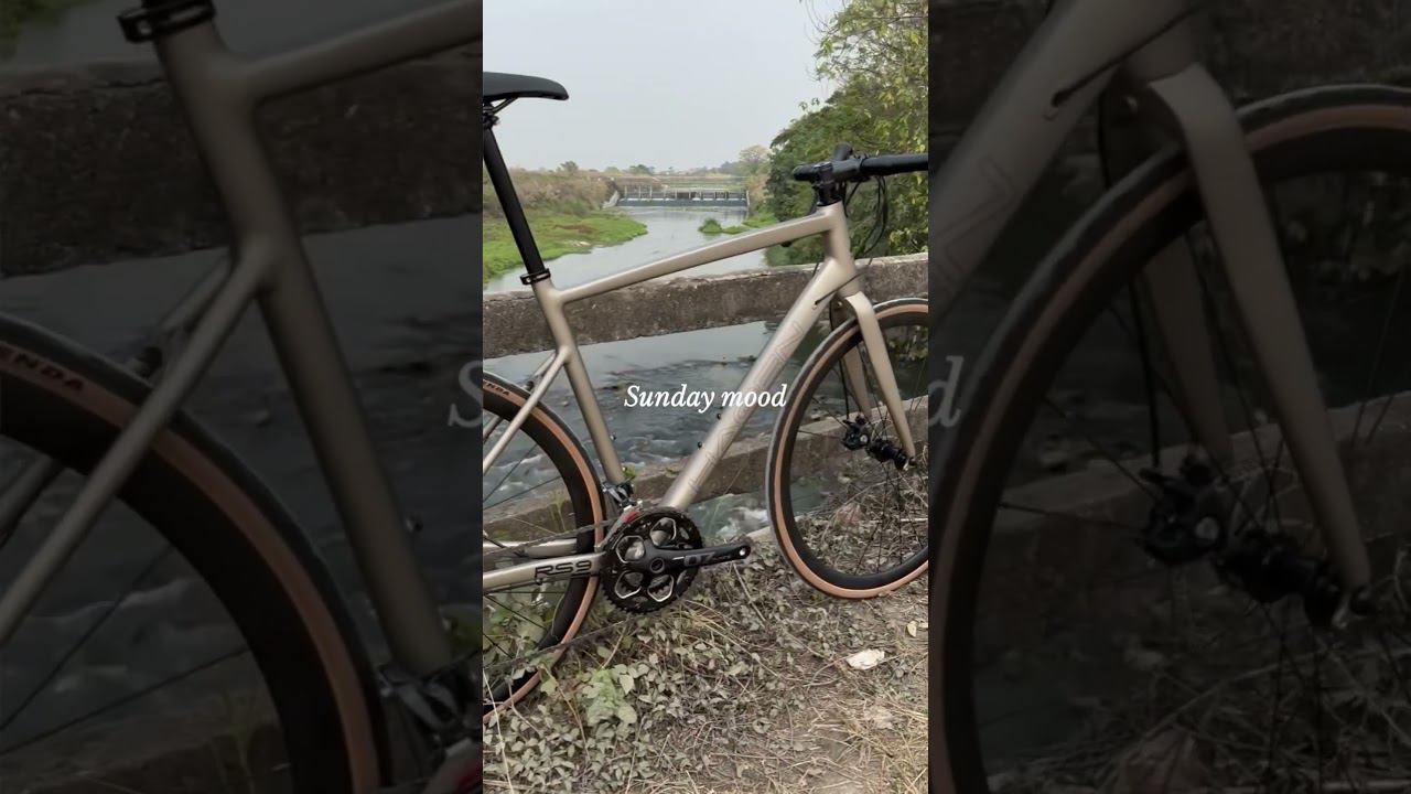 Sunday. Речка, кофе в термофляге и любимый #bike #roadtrip #road #roadbike #cycling #riding #sunday смотреть онлайн