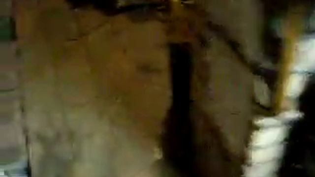 DSCN9664.avi КПП Пежо смотреть онлайн