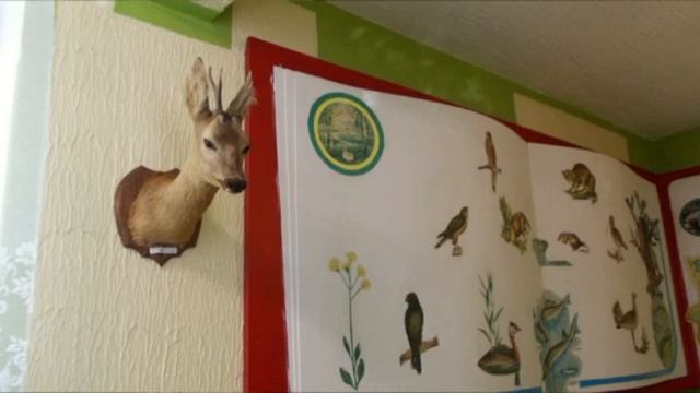 Фауна Беларуси