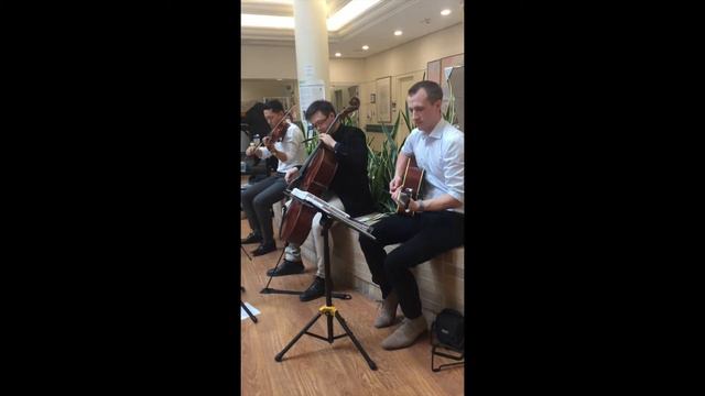 Willer Music String Trio performing Call Me Maybe смотреть онлайн