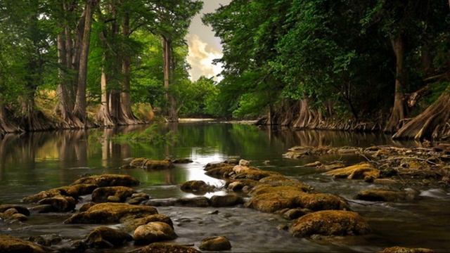 Уснуть за 5 минут. Звуки природы для сна. Звуки воды для сна смотреть онлайн