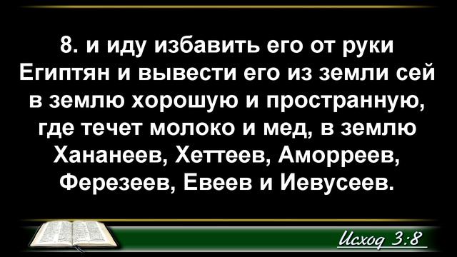 Торопливый ногами оступится - 3Christ.ru смотреть онлайн