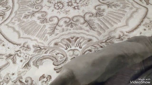 #кошки порода Шотландская вислоухая смотреть онлайн