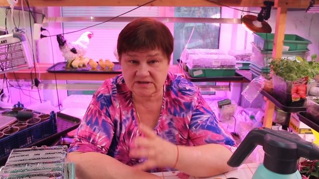 Ни в коем случае НЕ КЛАДИТЕ ЭТО В ЛУНКУ, если не хотите ЗАГУБИТЬ весь УРОЖАЙ! смотреть онлайн