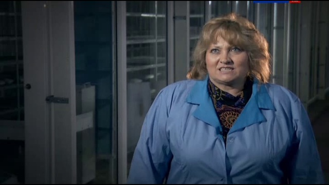 Большой скачок. Грибы смотреть онлайн