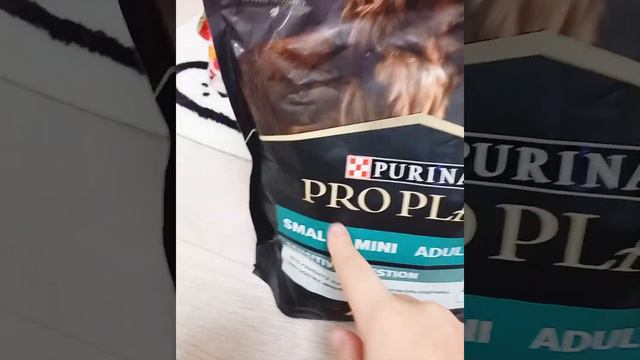 Распаковка корма Pro Plan! #распаковка #proplan #котики #собачки #ася #дарвин #чихуахуа
