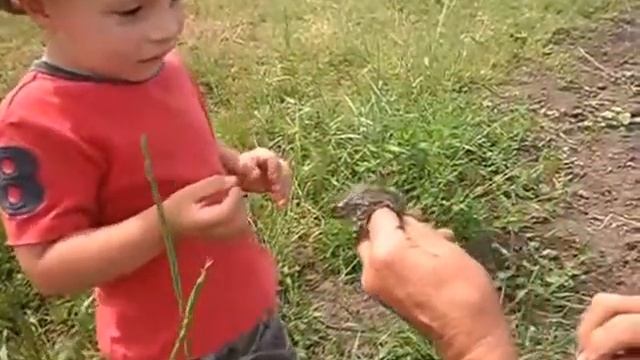 Маленький ребенок и лягушка) смотреть онлайн