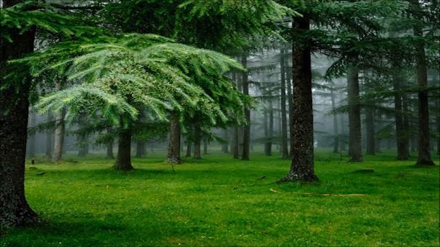 Готов ли ты к небесной жизни ?