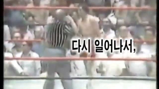 홍수 환.avi смотреть онлайн