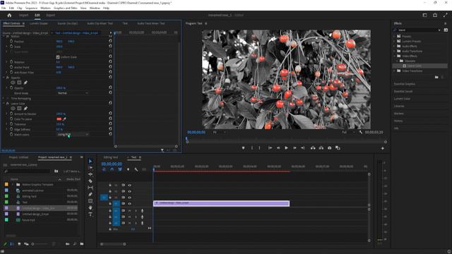 How to do Black and White Except One Color Premiere Pro | Learn Adobe #adobepremierepro смотреть онлайн