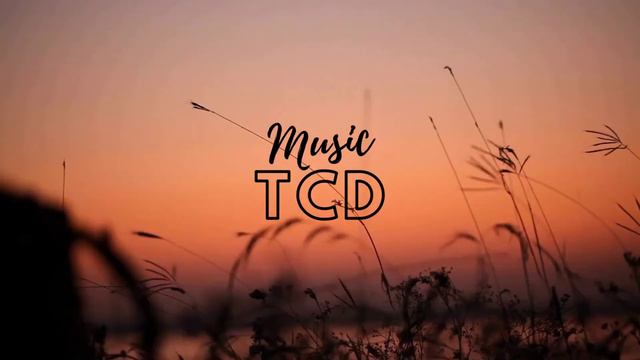 Lofi Chill No Words - Lofi Relaxing Music ♫ Solo Guitar ♫ TCD MUSIC #2 смотреть онлайн