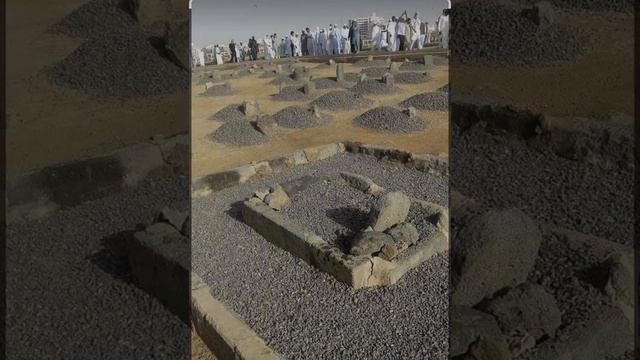 А виды мы не готовы…. смотреть онлайн