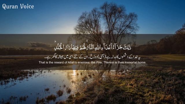 Surah Fussilat/Hameem Sajdah سورة فصلت - Hothaifa Kaeed حذيفة الكعيد - Quran Voice смотреть онлайн