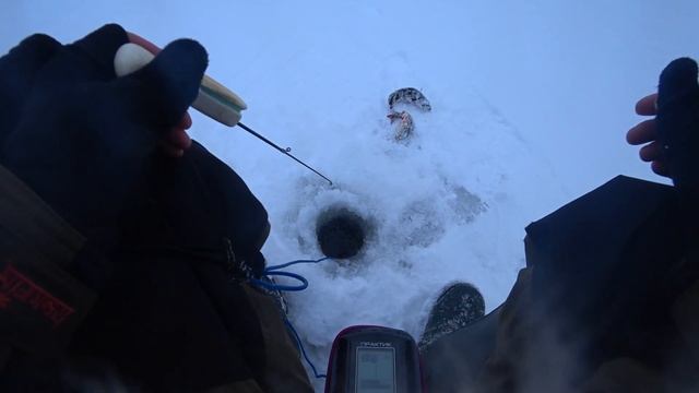 Рыбалка на Браславских озерах! Озеро Богинское! смотреть онлайн