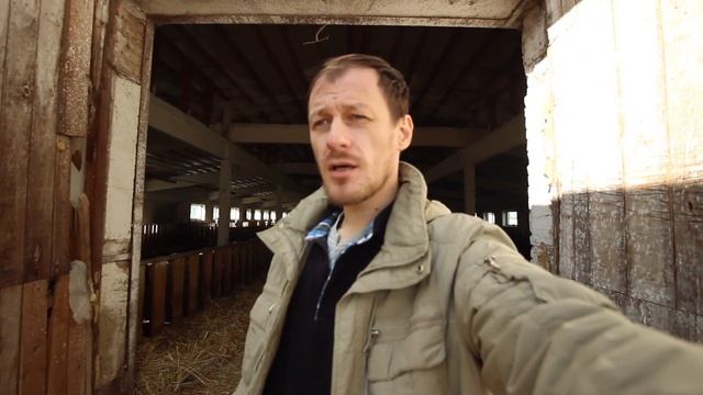 ВИРУСНАЯ ИНФЕКЦИЯ У КОРОВЫ И СЛУЧАЙ МОКРЕЦА/ХОД ЛЕЧЕНИЯ ДО ВЫЗДОРОВЛЕНИЯ смотреть онлайн