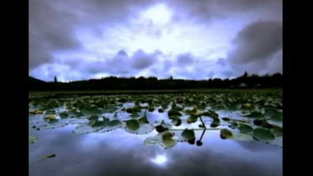 Релакс Красивая Музыка. Спокойный Крепкий сон.Снятие стресса(THE ENIGMA) смотреть онлайн