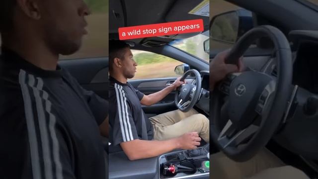 Manual drivers when they get in an automatic смотреть онлайн