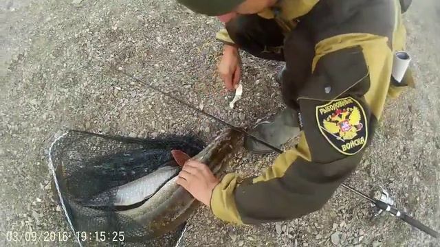 щука 5кг 90см смотреть онлайн