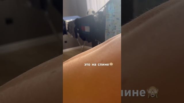 а чё так бывает???один единый такой длинный?#эпиляция нужна)#шугаринг#шерстянойдетеныш#кожаный смотреть онлайн