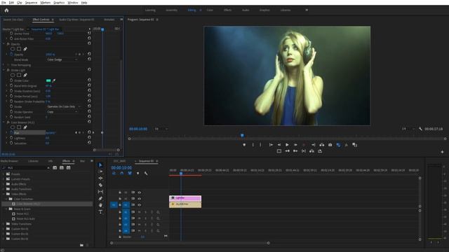 How To Create A Party Strobe Effect In Adobe Premiere Pro CC 2019