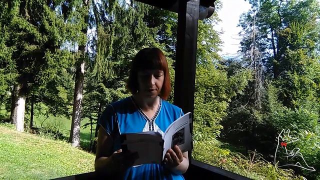 Лидија Димковска читает «Ноември во Грац» для фестиваля «Не здесь—2017» смотреть онлайн