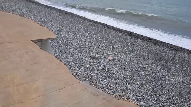 Русские в Батуми. 2022. Заметки. Сколько денег надо туристу на один день в Грузии.